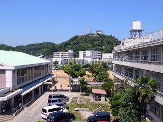 小学校　岡山市立伊島小学校（小学校）まで521m