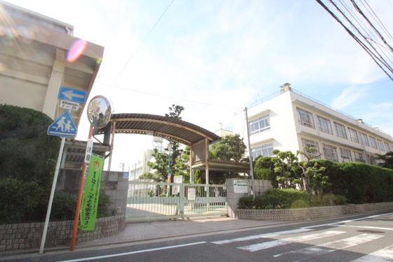 小学校　広島市立南観音小学校（小学校）まで686m