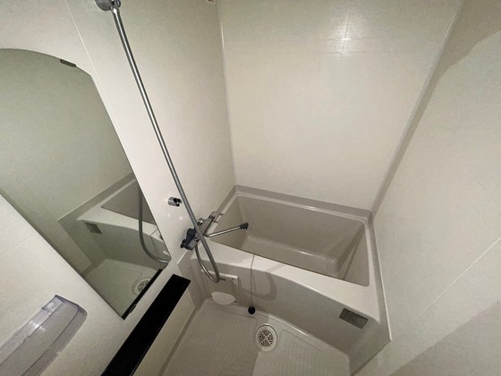 バス・シャワールーム　※別号室のお写真です。