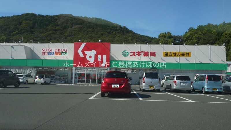 ドラックストア　スギ薬局二川店（ドラッグストア）まで604m