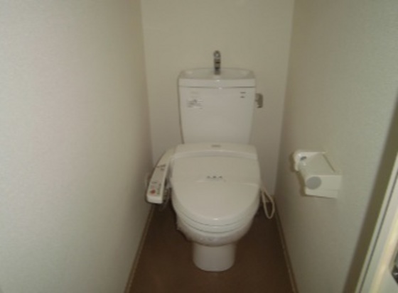 トイレ　他号室の写真です