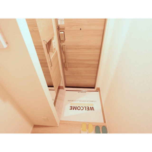 玄関　同タイプ部屋の画像です（仕様・設備等異な