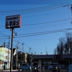 その他　しまむら（その他）まで950m