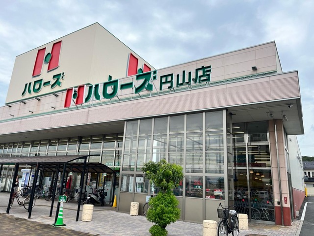 スーパー　ハローズ円山店（スーパー）まで313m