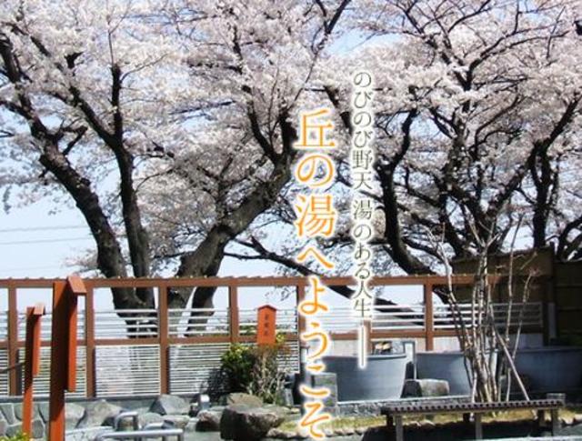 その他　よみうりランド丘の湯（その他）まで1153m