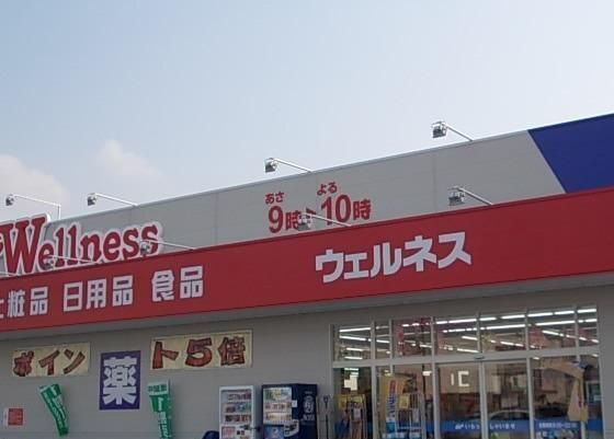 ドラックストア　ウェルネス 角盤店（ドラッグストア）まで1000m