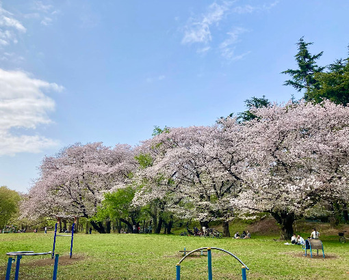 公園　野川公園（公園）まで477m