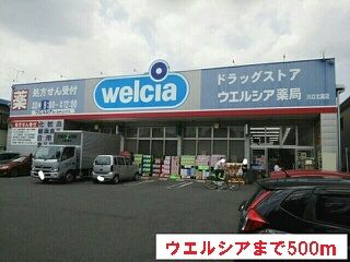 ドラックストア　ウエルシア（ドラッグストア）まで500m