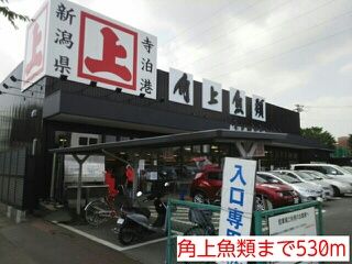 スーパー　角上魚類（スーパー）まで530m