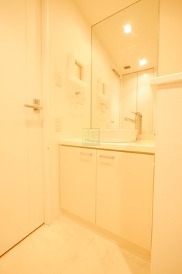 洗面設備　レニール本駒込の洗面所