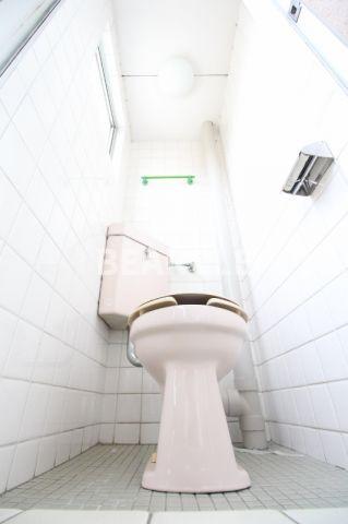 トイレ　トイレです