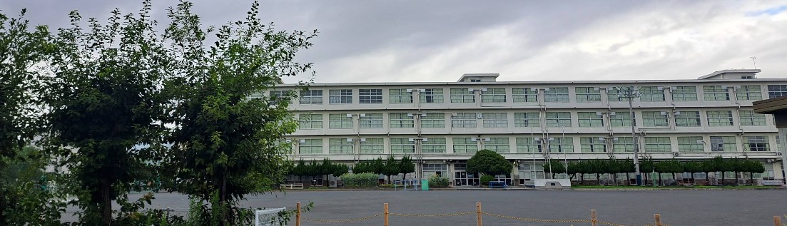 小学校　静岡市立南部小学校（小学校）まで972m