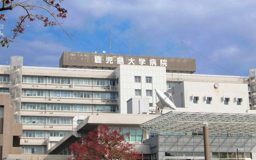 大学・短大　国立大学法人鹿児島大学医学部（大学・短大）まで2009m