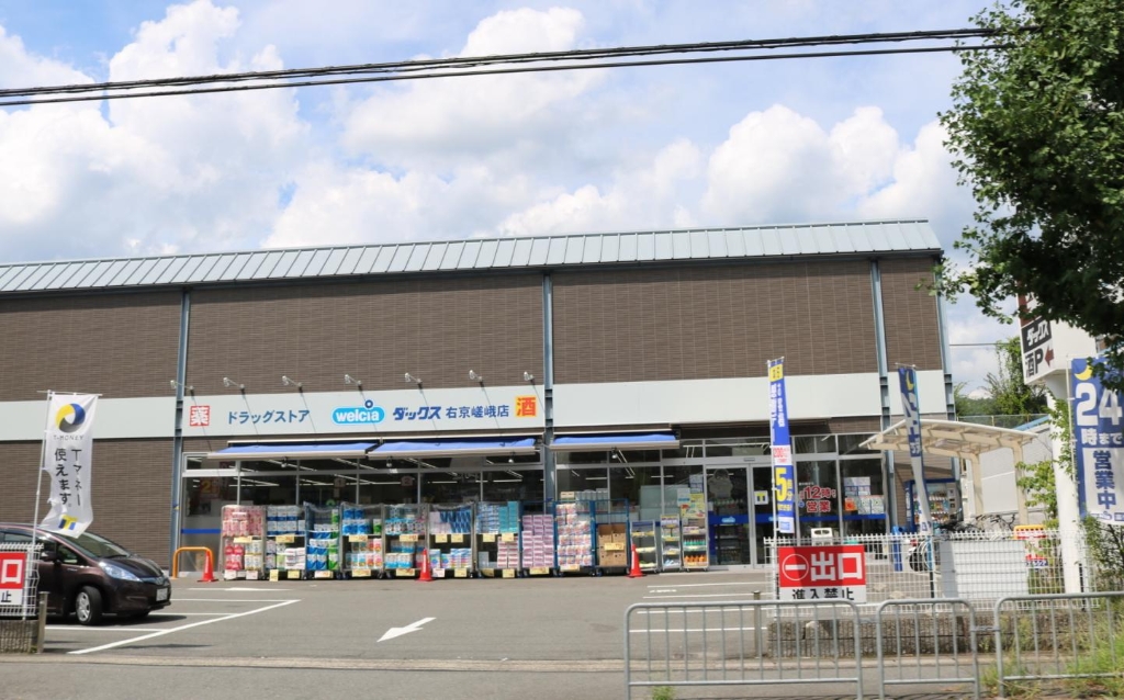 ドラックストア　ドラッグストアダックス 右京嵯峨店（ドラッグストア）まで580m