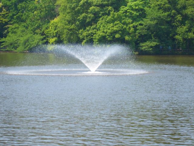 公園　井之頭公園（公園）まで120m