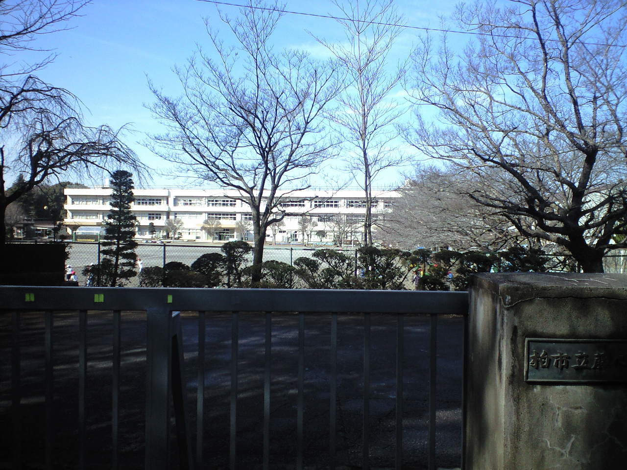 小学校　柏市立 藤心小学校（小学校）まで735m