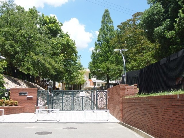 幼稚園・保育園　たつみ幼稚園（幼稚園・保育園）まで873m
