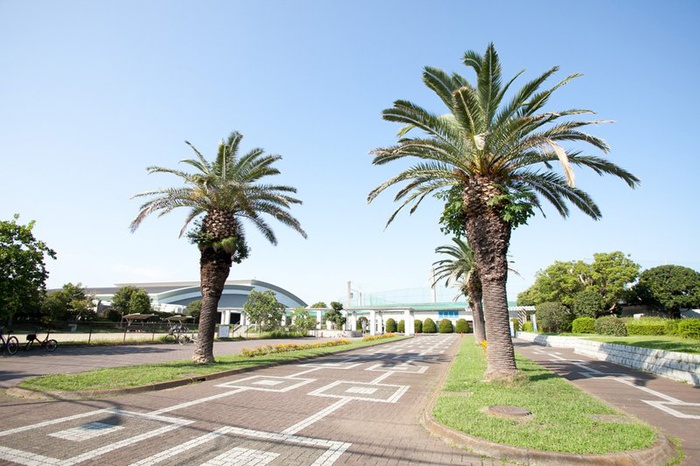 公園　鵠沼運動公園（公園）まで120m