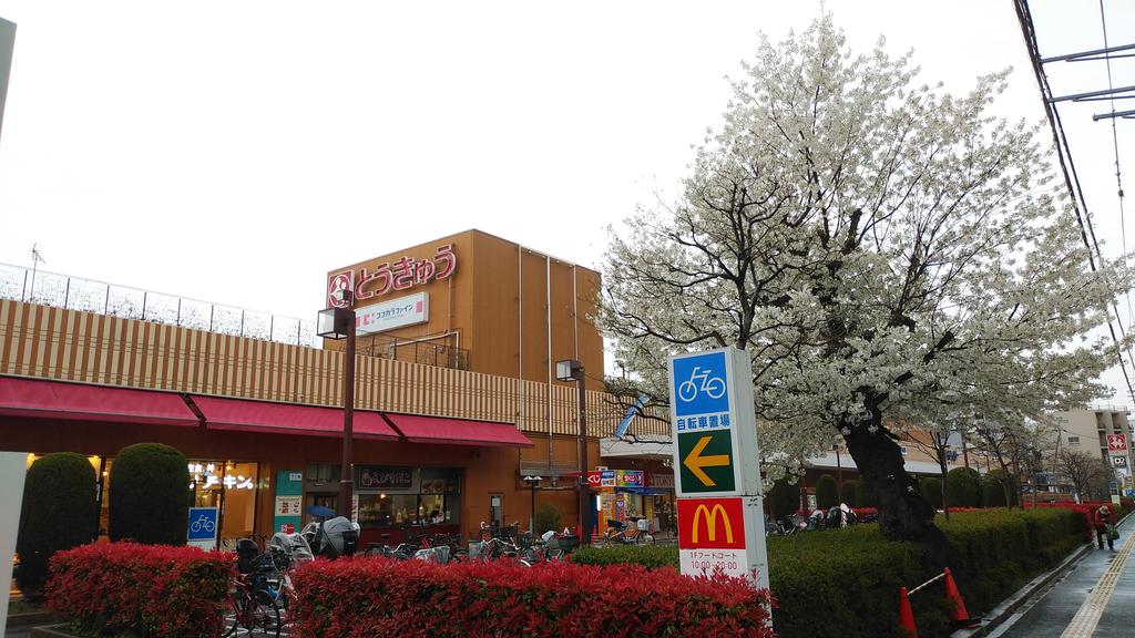 スーパー　わくわく広場高島平とうきゅう店（スーパー）まで669m