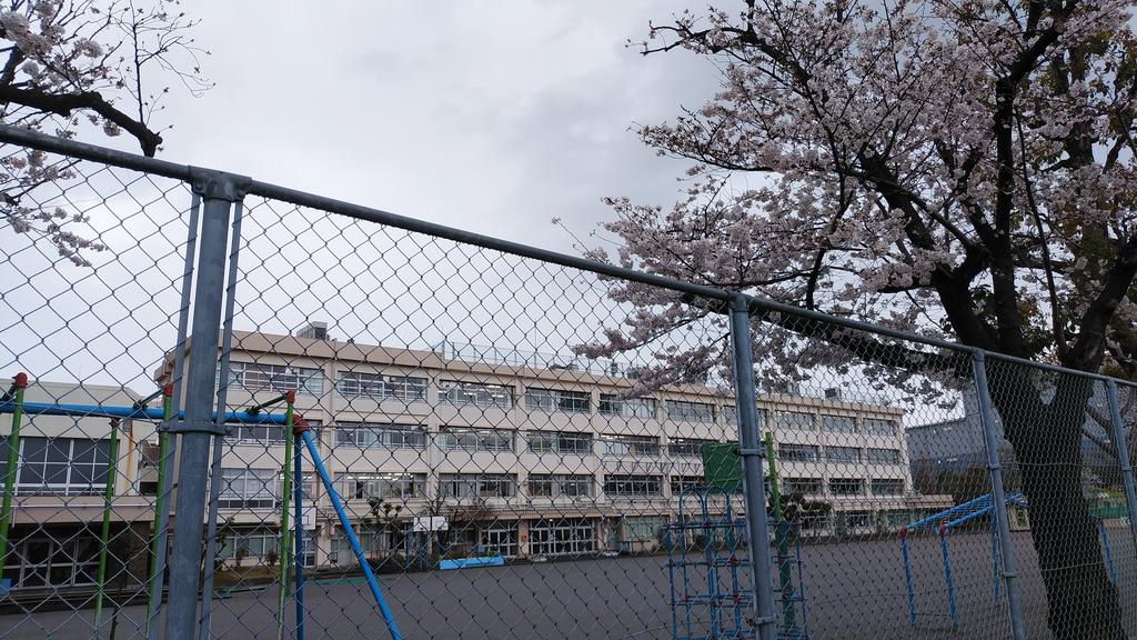 小学校　板橋区立新河岸小学校（小学校）まで350m