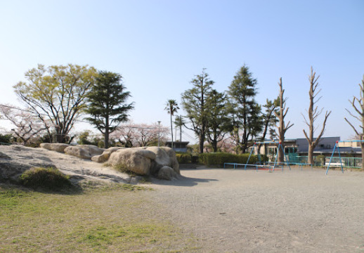 公園　鷹取公園（公園）まで222m