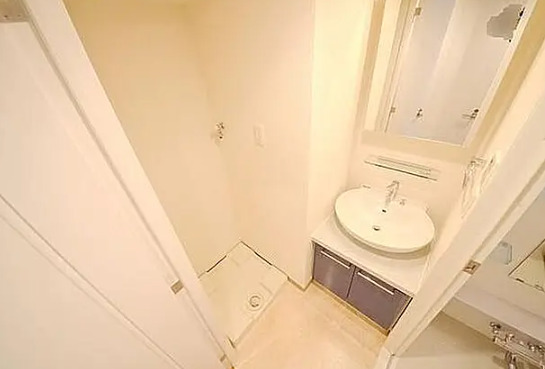 洗面設備　同タイプ部屋　参考写真です