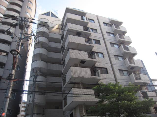 セントポーリアアビコ