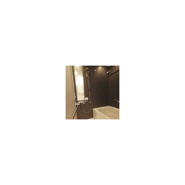 レジディア渋谷 部屋番号:1103の風呂写真