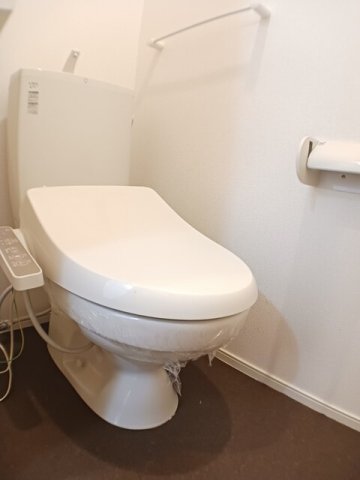 ＪＲ伯備線 岸本駅 徒歩17分 2階建 築11年のトイレ写真
