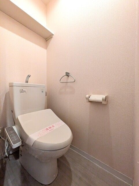 ＪＲ桜島線 安治川口駅 徒歩4分 3階建 築22年のトイレ写真