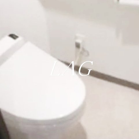 ＪＲ横須賀線 武蔵小杉駅 徒歩10分 9階建 築23年のトイレ写真