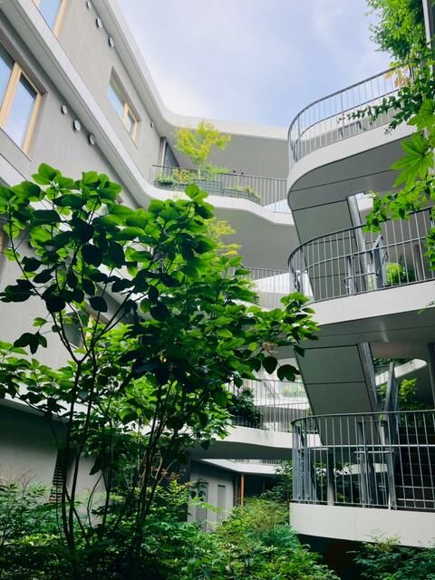 庭