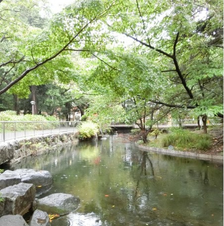 公園　蚕糸の森公園（公園）まで189m