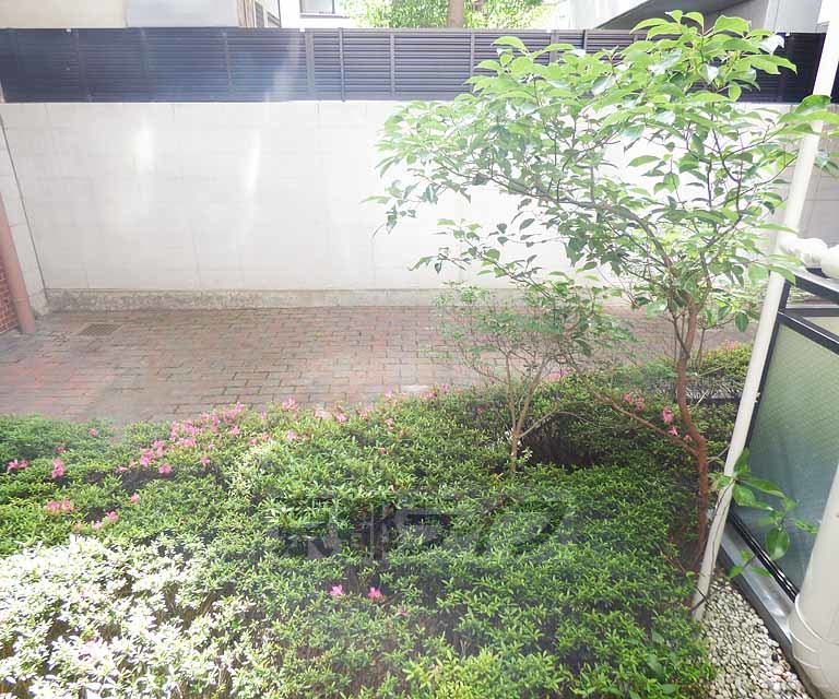 庭