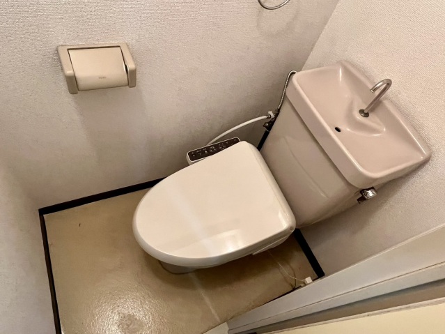 トイレ　写真は別号室です。