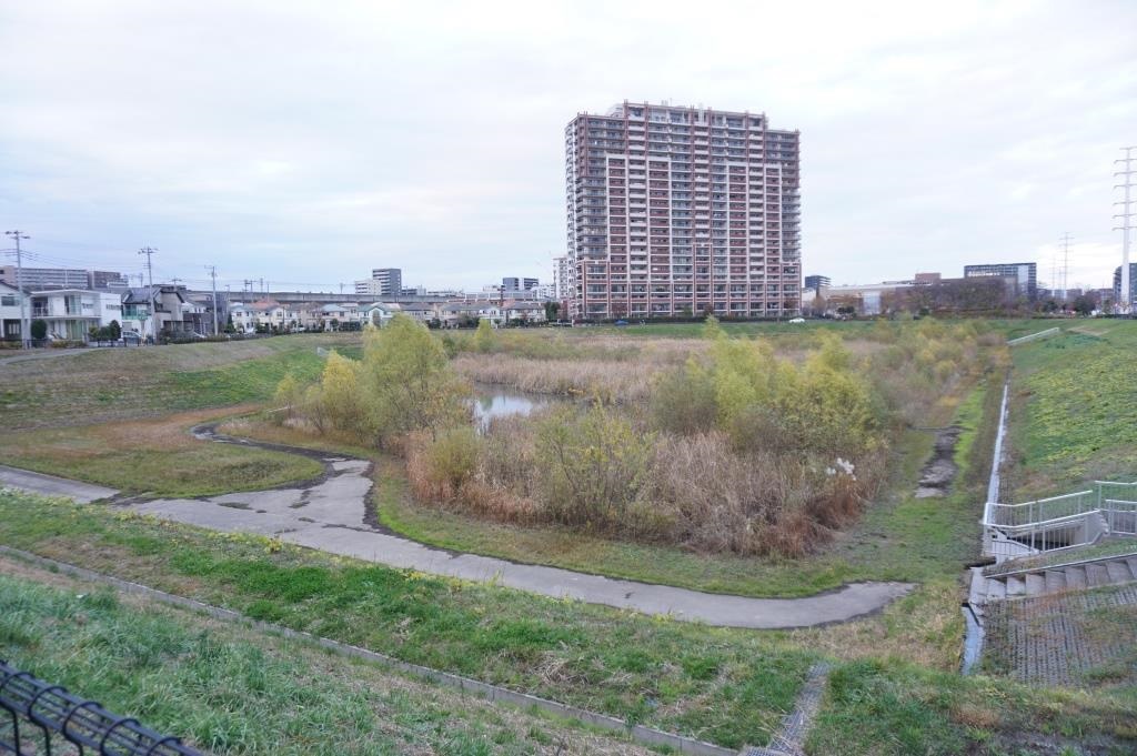 公園　市野谷水鳥の池（公園）まで275m