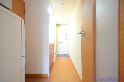 玄関　同タイプ部屋の写真となり設備等は現況と異なる場合があります。