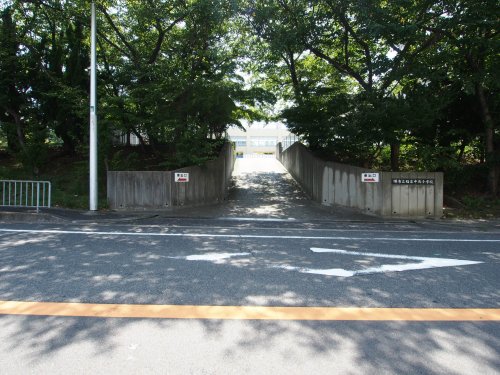 小学校　堺市立福泉中央小学校（小学校）まで897m