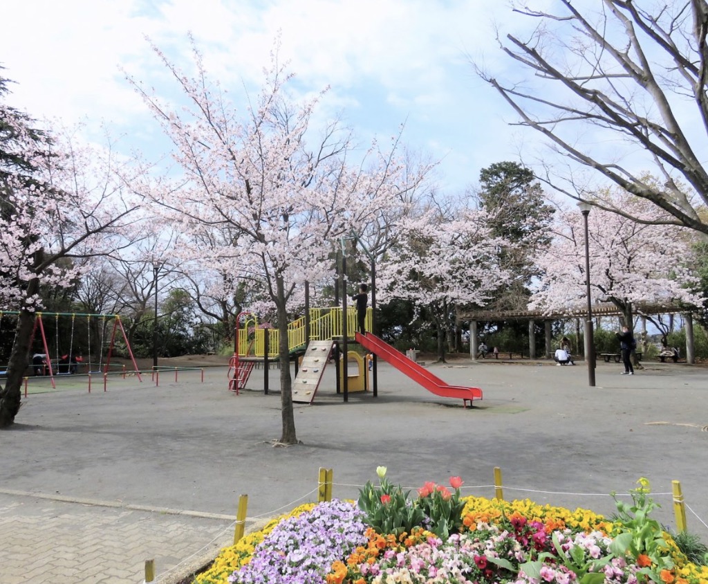 公園　綱島公園（公園）まで820m