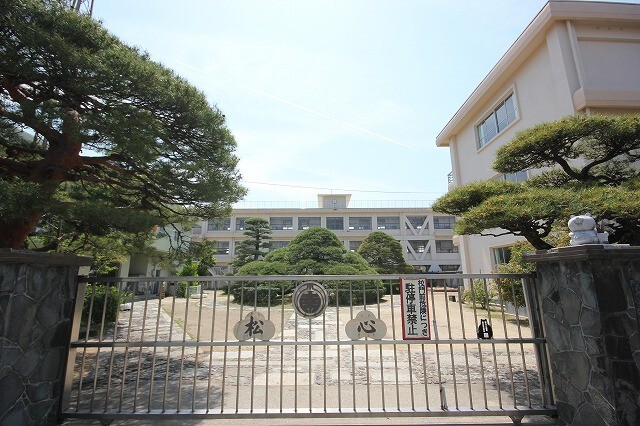 小学校　小松島市立南小松島小学校（小学校）まで383m
