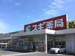 ドラックストア　スギ薬局 神領店（ドラッグストア）まで1337m