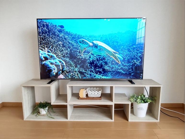 高速光インターネット無償 大型テレビプレゼント プレジャーB205のその他写真