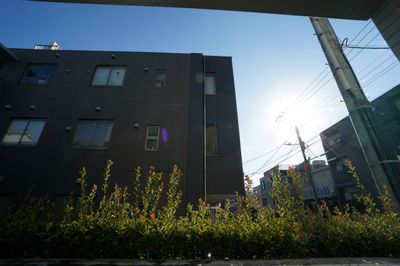 【練馬区北町のマンションのバルコニー】