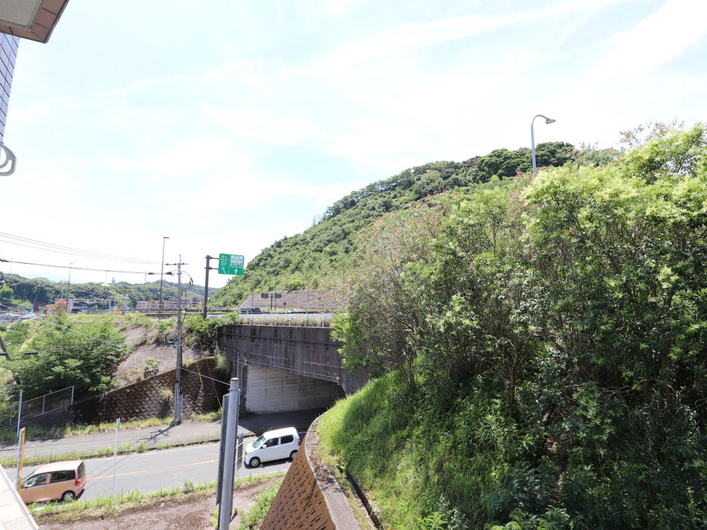 【鹿児島市田上のマンションの眺望】