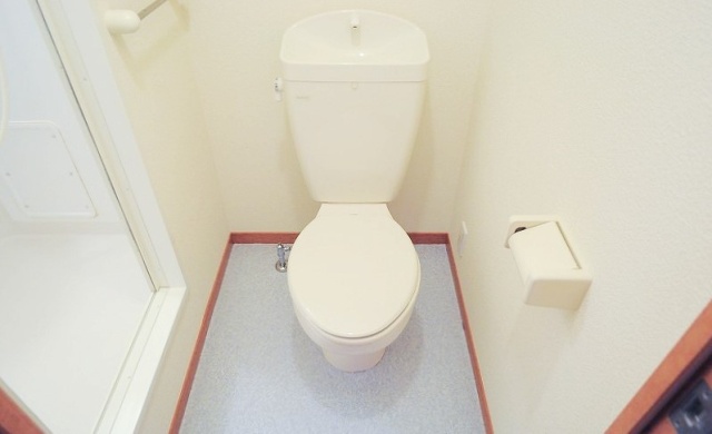 トイレ　同物件、別号室のものです。