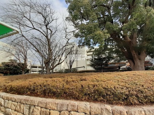 病院　神戸大学病院（病院）まで398m