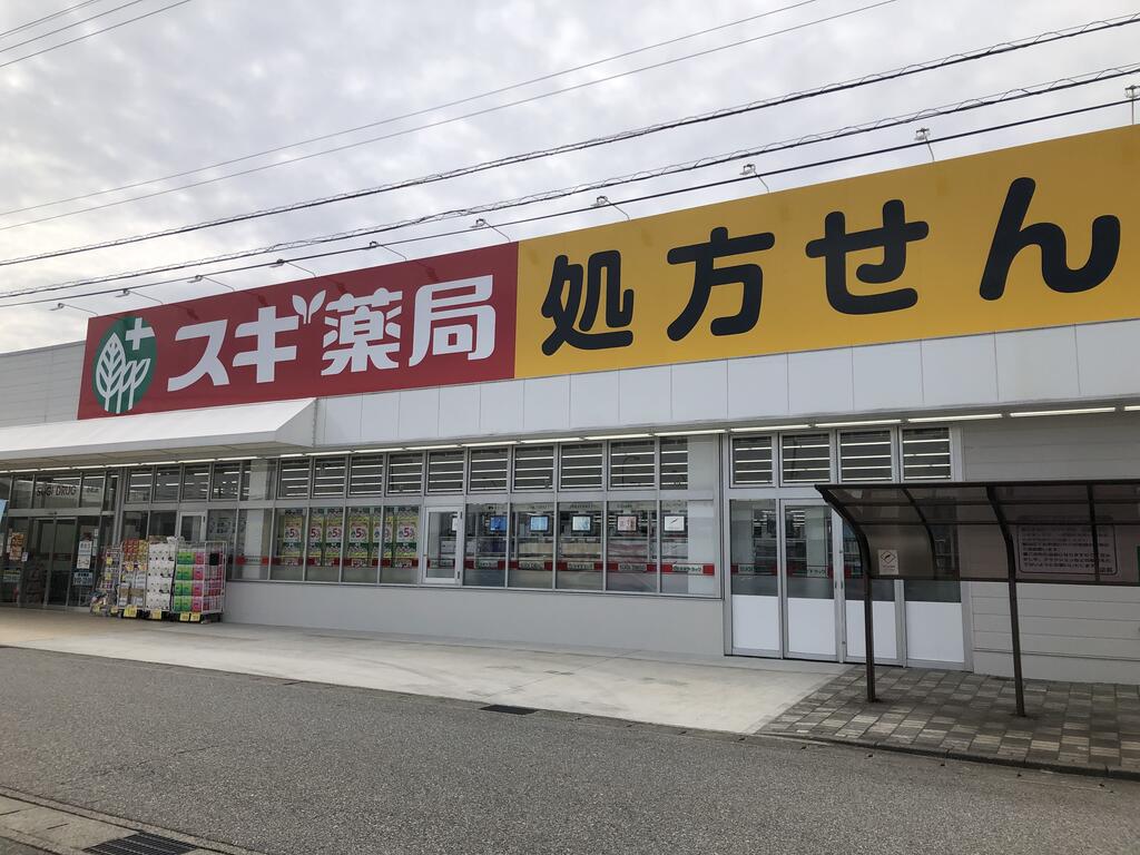 ドラックストア　スギ薬局小杉店（ドラッグストア）まで828m