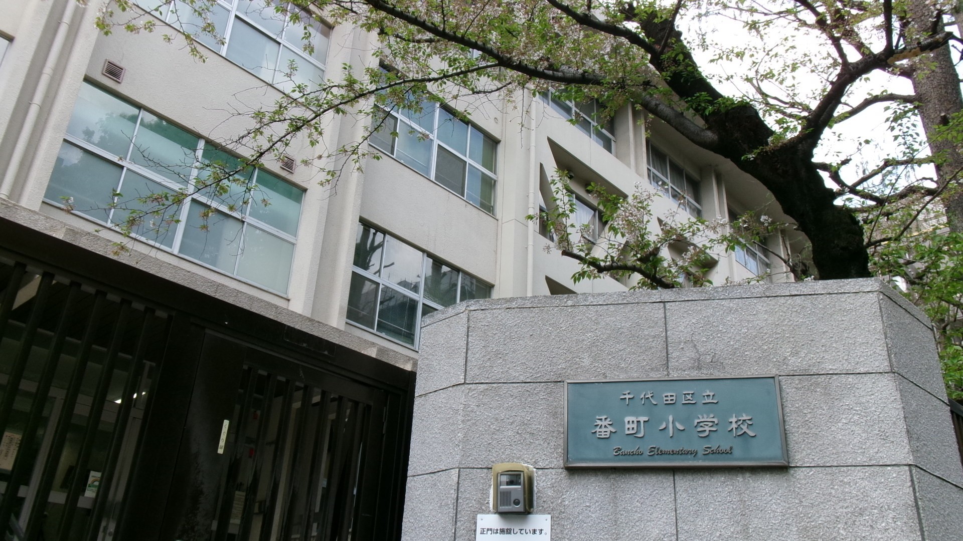 小学校　千代田区立番町小学校（小学校）まで185m