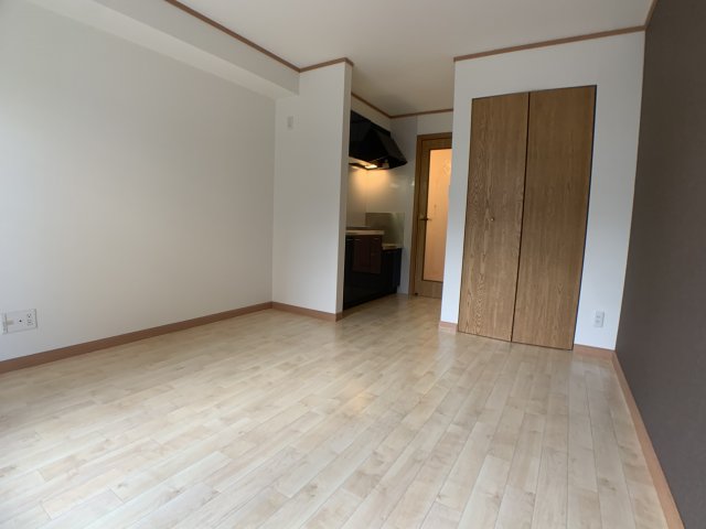 居室・リビング　洋室8.6帖の大きな１R