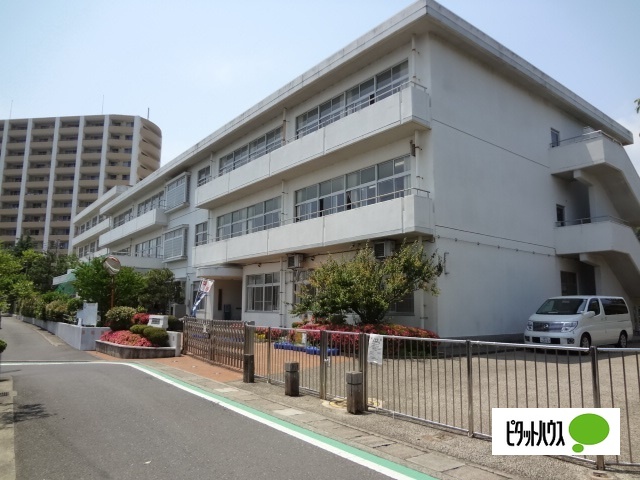 小学校　小田原市立前羽小学校（小学校）まで664m